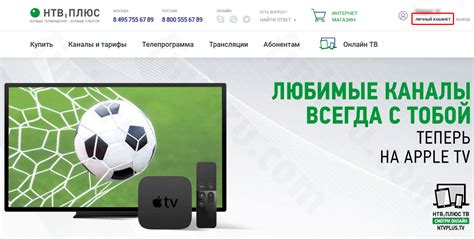 Как найти номер абонента NTV Plus без лишних проблем