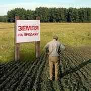 Как найти паевые земли