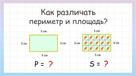 Как найти периметр: примеры и задачки для закрепления навыков