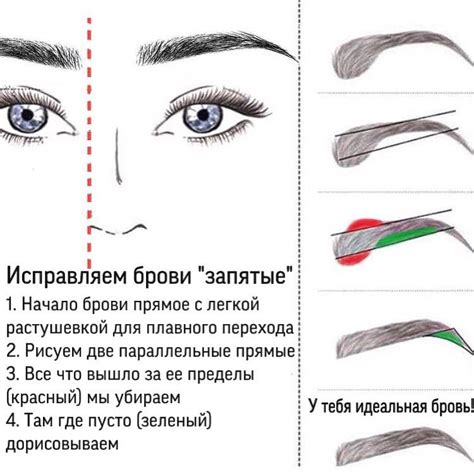 Как нарисовать форму бровей карандашом: полное руководство для новичков