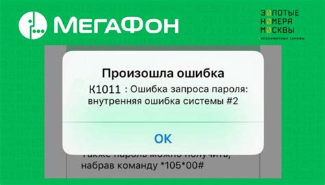Как обновить персональную информацию в Мегафоне
