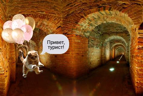 Как обойти преграды: секретные проходы и скрытые входы