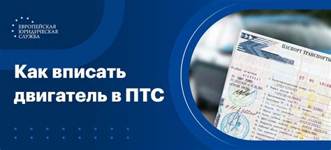 Как определить наличие ПТС в банке: информация и алгоритм действий