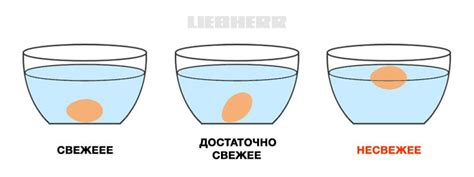 Как определить свежесть проросшего пшена: 5 простых приемов