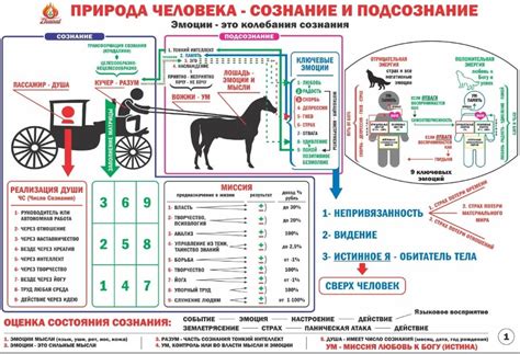 Как определить свое число сознания по сюцай