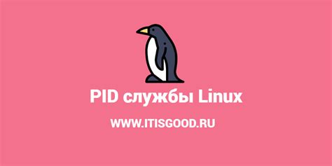 Как определить VID PID мышки с помощью программного обеспечения