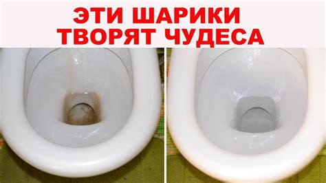 Как отмыть туалет от порошка: простые и проверенные способы