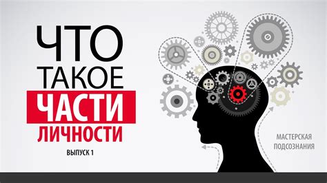 Как ощущения влияют на наше поведение
