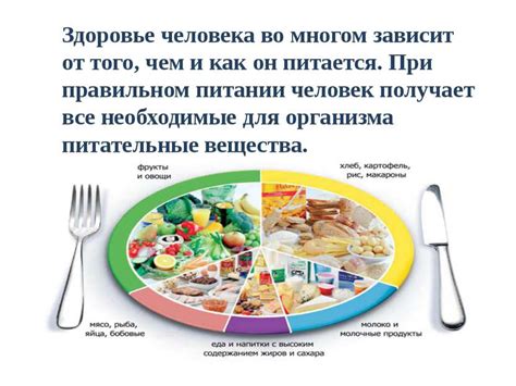 Как питание влияет на образование шлаков