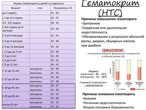 Как повысить гематокрит у женщин: