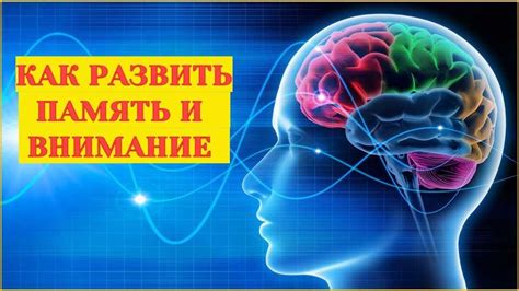 Как повысить память: полезные советы