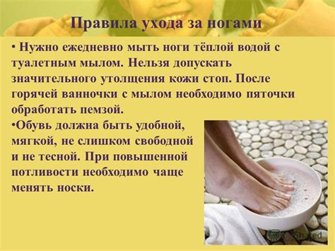 Как поддерживать и ухаживать за мюрриме хатун