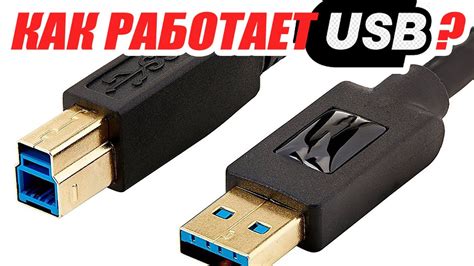 Как подключить и настроить USB на компьютере: инструкция с пошаговыми действиями