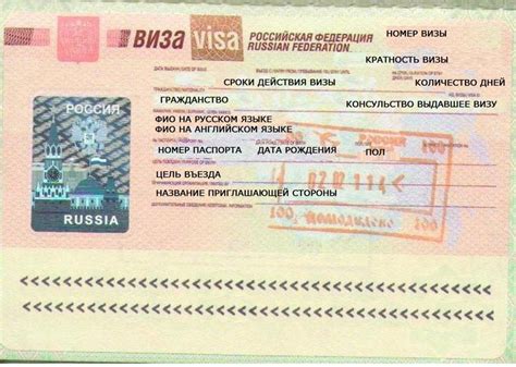 Как получить визу для иностранцев в России: важная информация