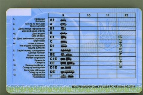 Как получить водительские права категории В