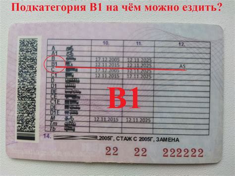 Как получить водительские права категории D