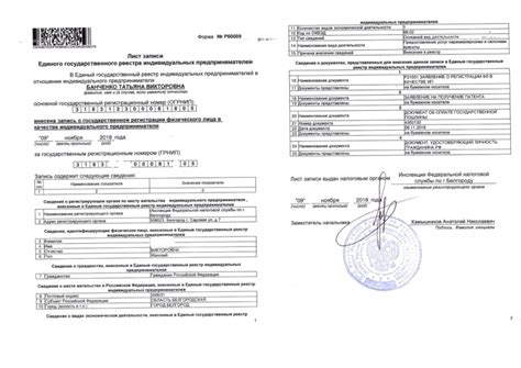 Как получить информацию о магазине по ИП из официальных источников: