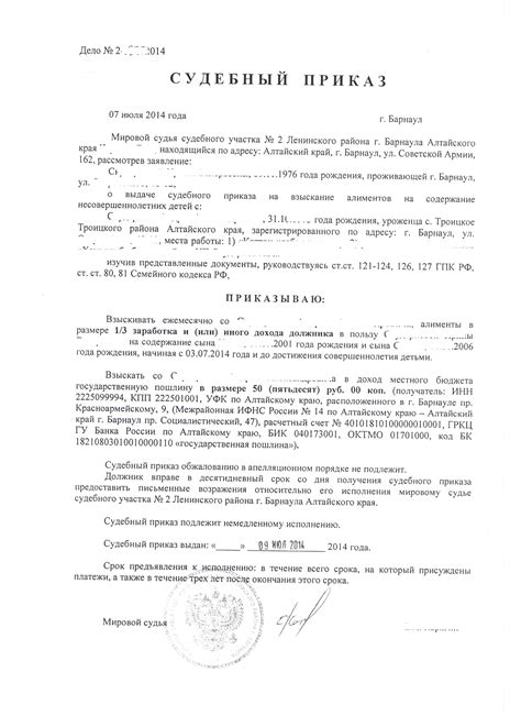 Как получить информацию о наличии судебного приказа на сайте судебных органов