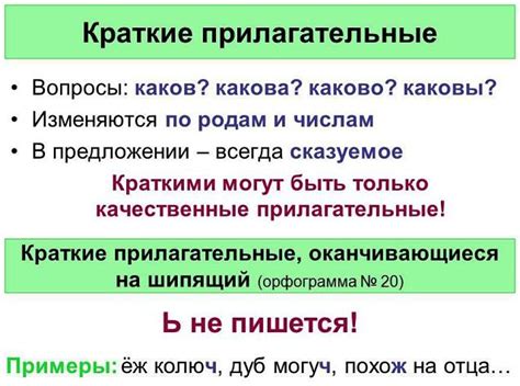 Как получить краткие прилагательные от полных: факты и примеры