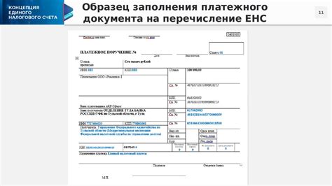 Как получить реквизиты единого налогового счета через Министерство финансов