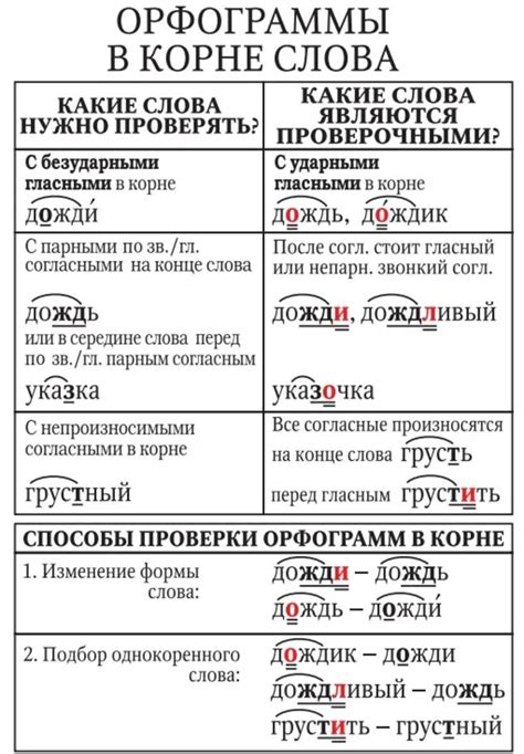 Как понимать орфограммы