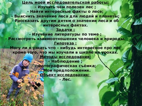 Как понять значение сна о горящем лесе