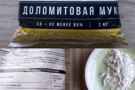 Как правильно применять доломитовую муку