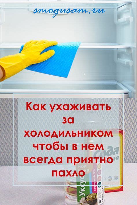 Как правильно ухаживать за холодильником Самсунг