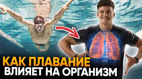 Как предотвратить поверхностное плавание петушка