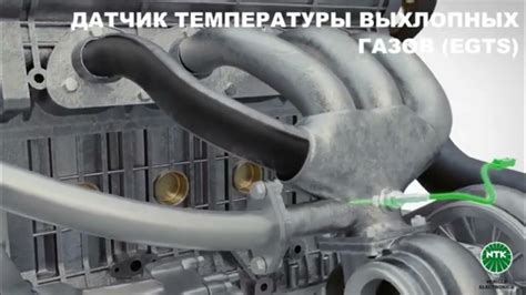 Как проверить ЕГР транзит