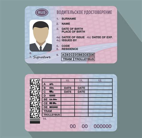 Как проверить водительские права онлайн безопасно и достоверно