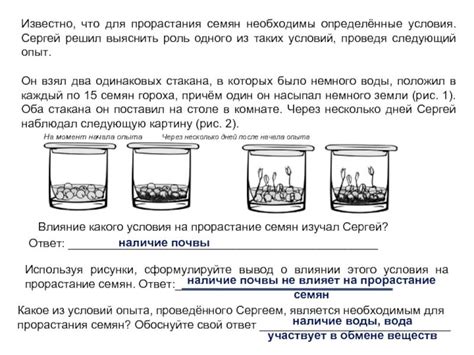 Как проверить всходы огурцов в воде