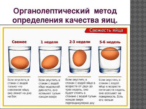 Как проверить свежесть яйца дома