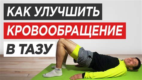 Как работает кровообращение в малом тазу