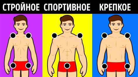 Как распознать свой тип телосложения без ошибок