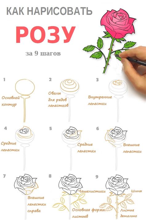 Как рисовать разные цветы: пошаговая инструкция