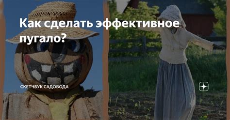 Как сделать пугало максимально эффективным