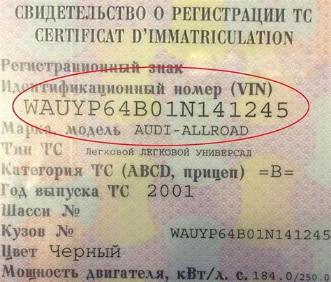 Как снять и прочитать ВИН с автомобиля