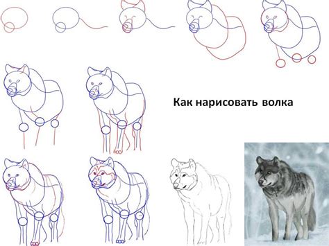 Как создать реалистичное изображение волка для детей с пошаговой инструкцией