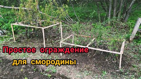Как создать эффективные стены и ограду из топорика