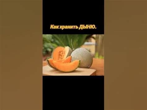 Как сохранить дыню после сбора