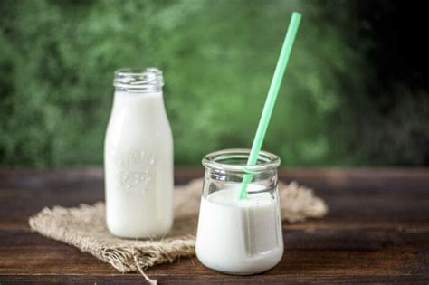 Как сохранить свежесть и вкус мацони длительное время