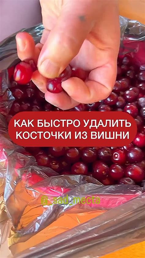 Как удалить косточки из вишни
