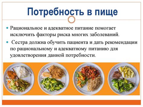 Как удовлетворить потребность в разнообразной пище у кота