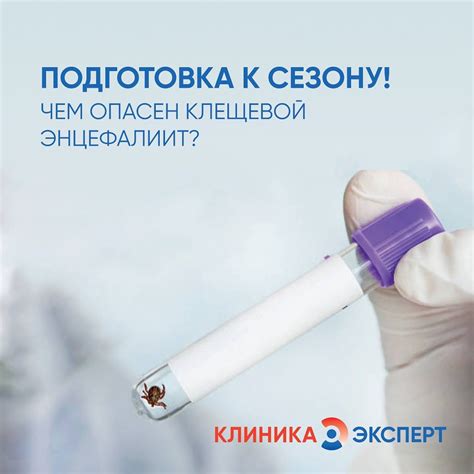 Как узнать, что человек заразился клещом энцефалита
