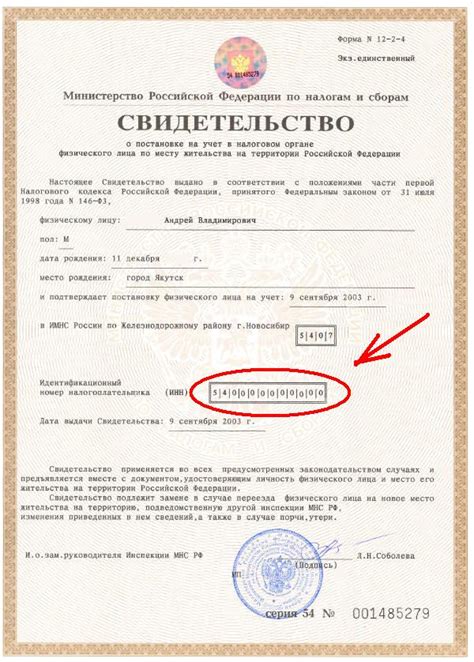 Как узнать ИНН по паспорту: обратившись в налоговую инспекцию