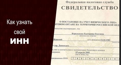Как узнать ИНН по паспорту у бухгалтера или в МФЦ