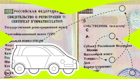 Как узнать СТС автомобиля по ПТС без использования интернета