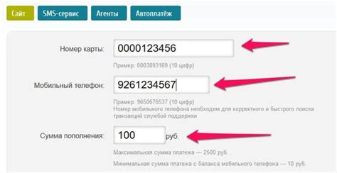Как узнать баланс карты Тройка через интернет