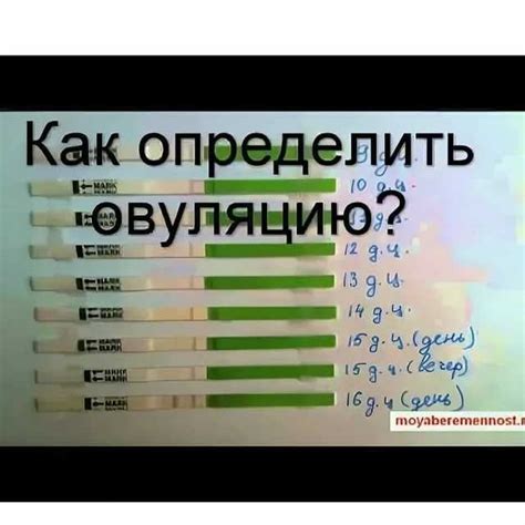 Как узнать дату овуляции по календарю